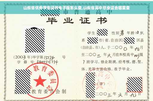 山东省优秀学生证书电子版怎么查,山东省高中毕业证去哪里查