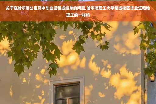 关于在哈尔滨公证高中毕业证和成绩单的问题,哈尔滨理工大学荣成校区毕业证和哈理工的一样吗