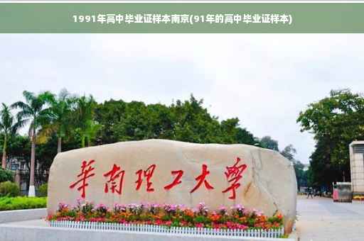 1991年高中毕业证样本南京(91年的高中毕业证样本)