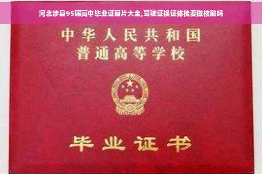 河北涉县95届高中毕业证图片大全,驾驶证换证体检要做核酸吗