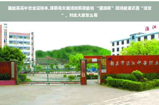 商城县高中毕业证样本,昆明母女商场如厕遭偷拍 “猥琐男”现场被逮还很“淡定”，对此大家怎么看
