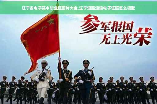 辽宁省电子高中毕业证图片大全,辽宁道路运输电子证照怎么领取