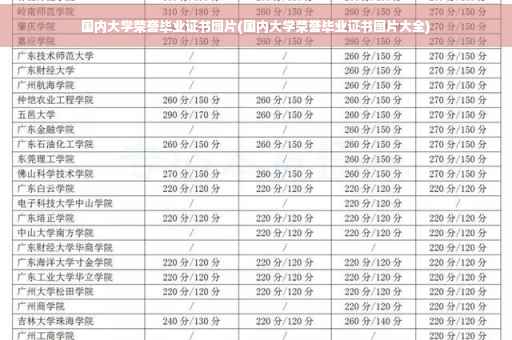 国内大学荣誉毕业证书图片(国内大学荣誉毕业证书图片大全)