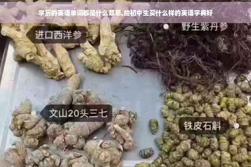 学历的英语单词都是什么意思,给初中生买什么样的英语字典好
