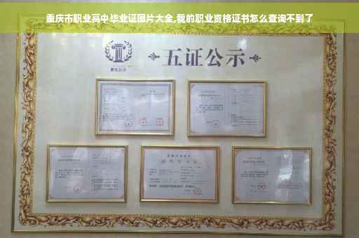 重庆市职业高中毕业证图片大全,我的职业资格证书怎么查询不到了