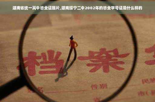 湖南省统一高中毕业证图片,湖南绥宁二中2002年的毕业学号证是什么样的