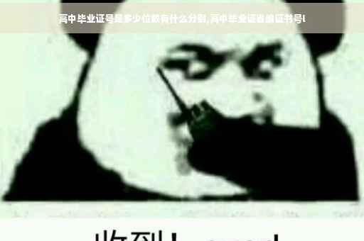 高中毕业证号是多少位数有什么分别,高中毕业证省编证书号l