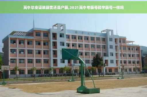 高中毕业证填籍贯还是户籍,2021高中考籍号和学籍号一样吗