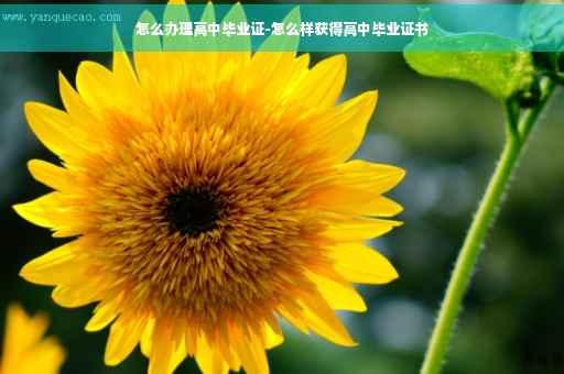 怎么办理高中毕业证-怎么样获得高中毕业证书 怎么办理高中毕业证-怎么样获得高中毕业证书