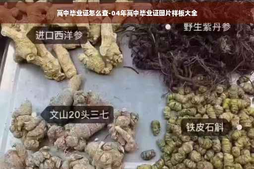 高中毕业证怎么查-04年高中毕业证图片样板大全