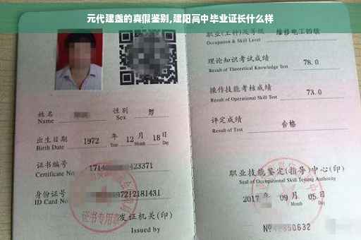 元代建盏的真假鉴别,建阳高中毕业证长什么样
