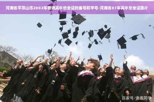 河南省平顶山市2002年普通高中毕业证的编号和学号-河南省07年高中毕业证图片