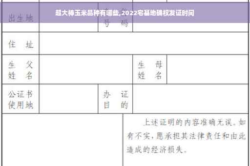 超大棒玉米品种有哪些,2022宅基地确权发证时间