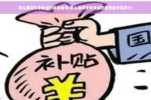 怎么查高中毕业证的报告编号(怎么查高中毕业证的报告编号是多少)