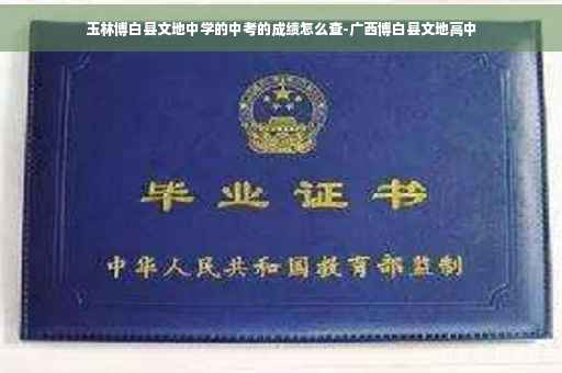 玉林博白县文地中学的中考的成绩怎么查-广西博白县文地高中
