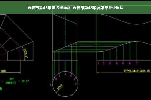 西安市第45中学占地面积-西安市第45中高中毕业证图片