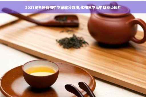 2021茂名所有初中学录取分数线,化州三中高中毕业证图片