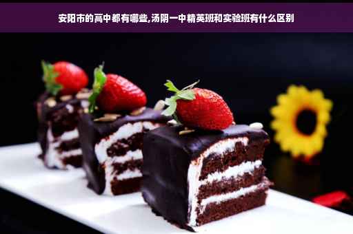 安阳市的高中都有哪些,汤阴一中精英班和实验班有什么区别