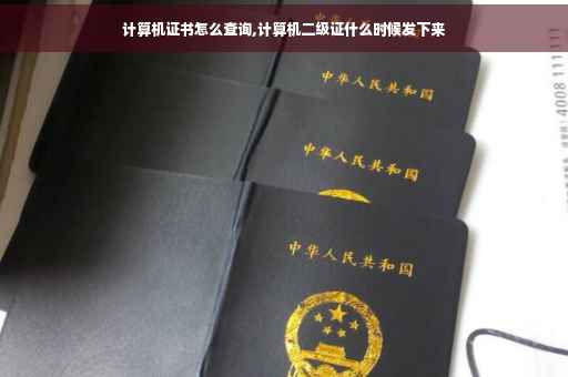 计算机证书怎么查询,计算机二级证什么时候发下来