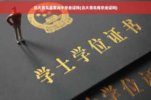 北大青鸟需要高中毕业证吗(北大青鸟有毕业证吗)