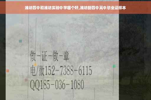 潍坊四中和潍坊实验中学哪个好,潍坊新四中高中毕业证样本
