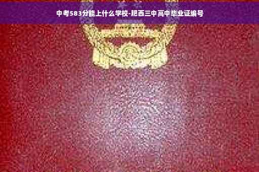 中考583分能上什么学校-肥西三中高中毕业证编号