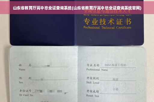 山东省教育厅高中毕业证查询系统(山东省教育厅高中毕业证查询系统官网)