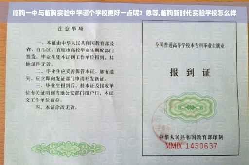 临朐一中与临朐实验中学哪个学校更好一点呢？急等,临朐新时代实验学校怎么样