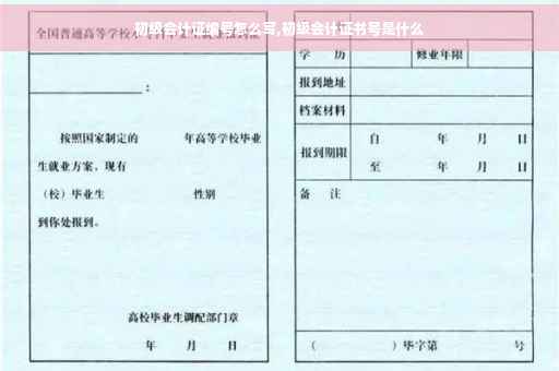 初级会计证编号怎么写,初级会计证书号是什么