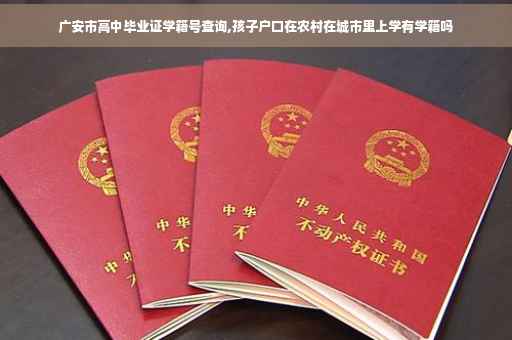 广安市高中毕业证学籍号查询,孩子户口在农村在城市里上学有学籍吗