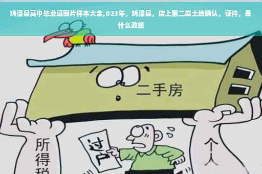 鸡泽县高中毕业证图片样本大全,023年，鸡泽县，店上第二类土地确认，证件，是什么政策