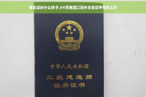 准生证长什么样子,09河南周口高中毕业证学号怎么写