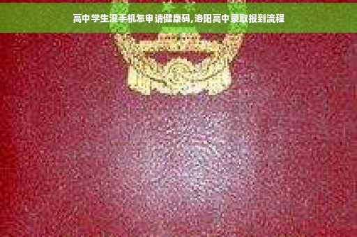 高中学生没手机怎申请健康码,洛阳高中录取报到流程