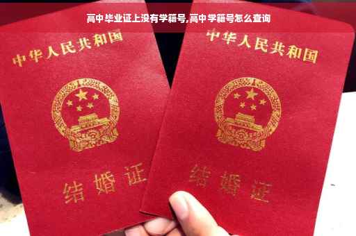 高中毕业证上没有学籍号,高中学籍号怎么查询