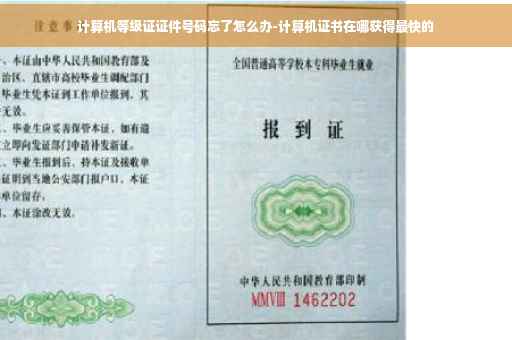 计算机等级证证件号码忘了怎么办-计算机证书在哪获得最快的