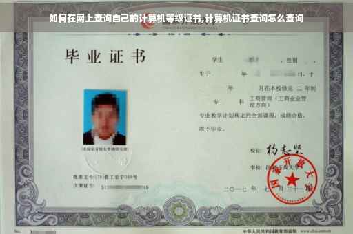 如何在网上查询自己的计算机等级证书,计算机证书查询怎么查询