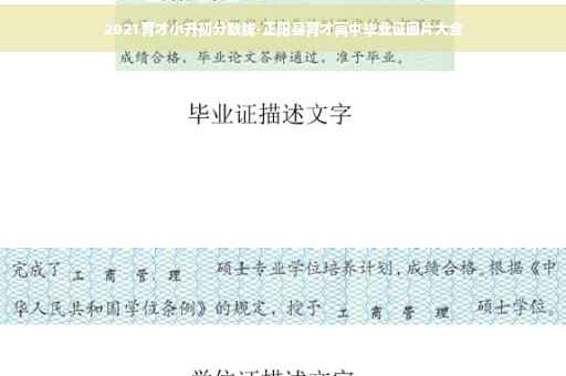 2021育才小升初分数线-正阳县育才高中毕业证图片大全