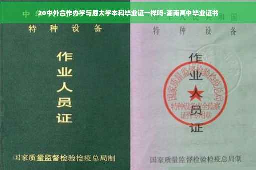 20中外合作办学与原大学本科毕业证一样吗-湖南高中毕业证书