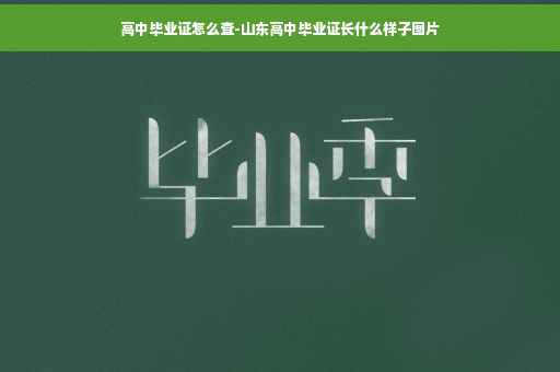 高中毕业证怎么查-山东高中毕业证长什么样子图片