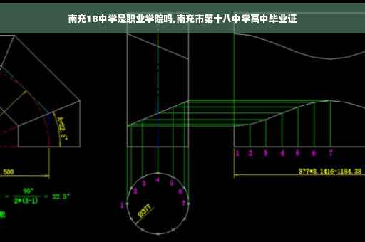 南充18中学是职业学院吗,南充市第十八中学高中毕业证