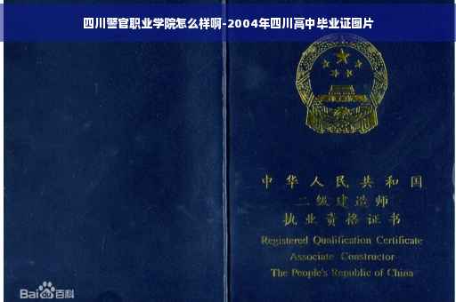 四川警官职业学院怎么样啊-2004年四川高中毕业证图片