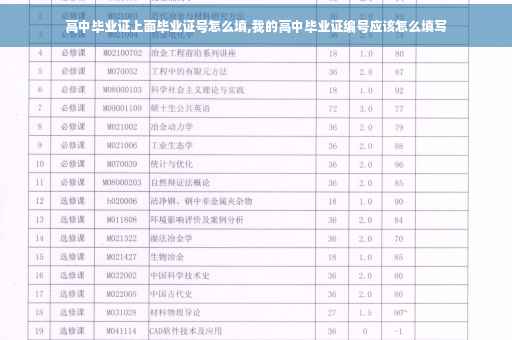 高中毕业证上面毕业证号怎么填,我的高中毕业证编号应该怎么填写