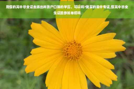 用假的高中毕业证去派出所改户口簿的学历、可以吗?我买的是中专证,假高中毕业生证能参加单招吗
