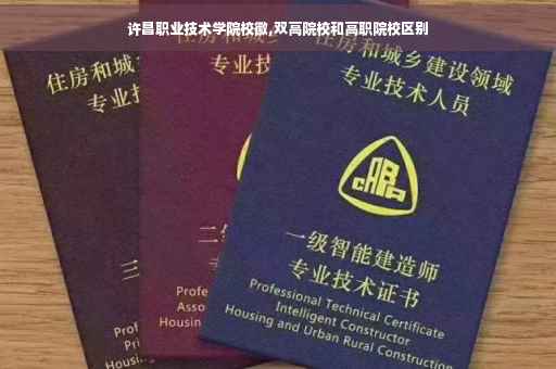 许昌职业技术学院校徽,双高院校和高职院校区别