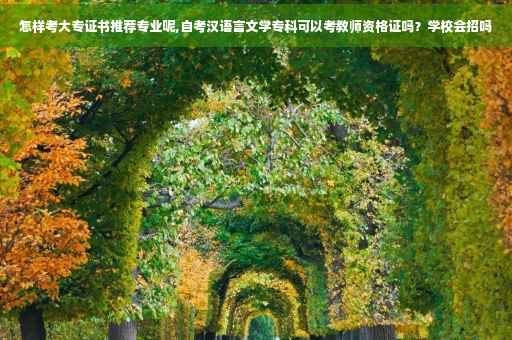 怎样考大专证书推荐专业呢,自考汉语言文学专科可以考教师资格证吗？学校会招吗