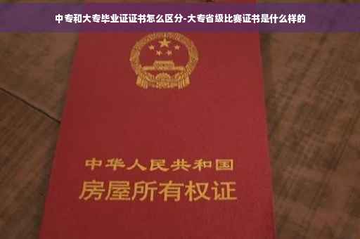 中专和大专毕业证证书怎么区分-大专省级比赛证书是什么样的