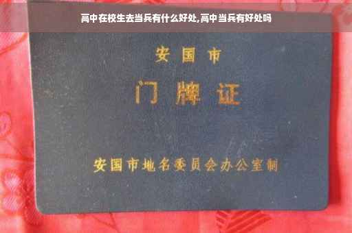 高中在校生去当兵有什么好处,高中当兵有好处吗