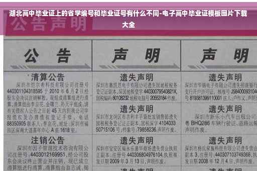 湖北高中毕业证上的省学编号和毕业证号有什么不同-电子高中毕业证模板图片下载大全