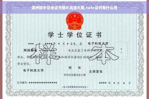 澳洲初中毕业证书图片高清大图,tafe证书有什么用 澳洲初中毕业证书图片高清大图,tafe证书有什么用