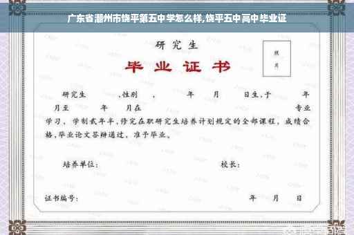 广东省潮州市饶平第五中学怎么样,饶平五中高中毕业证